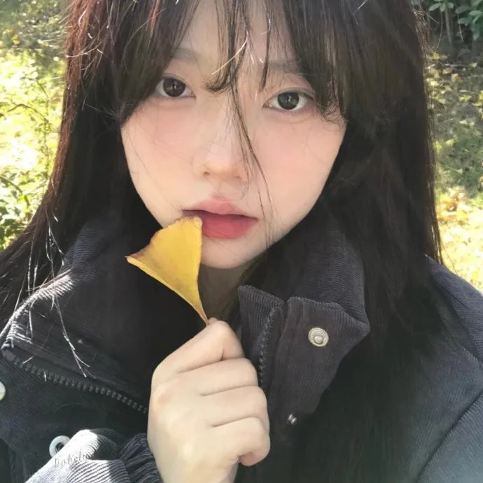 鸡肉派对